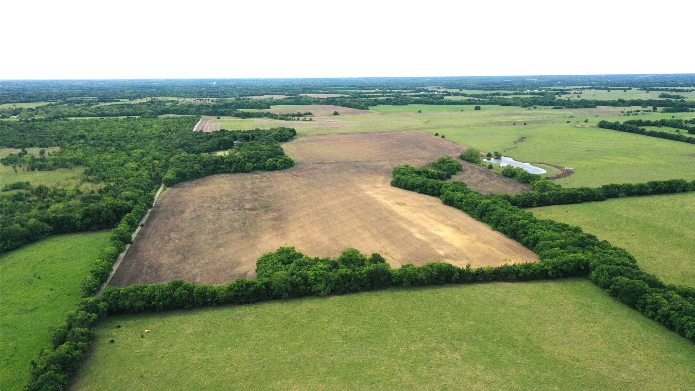 988 County Road 4142 Bonham TX 75418