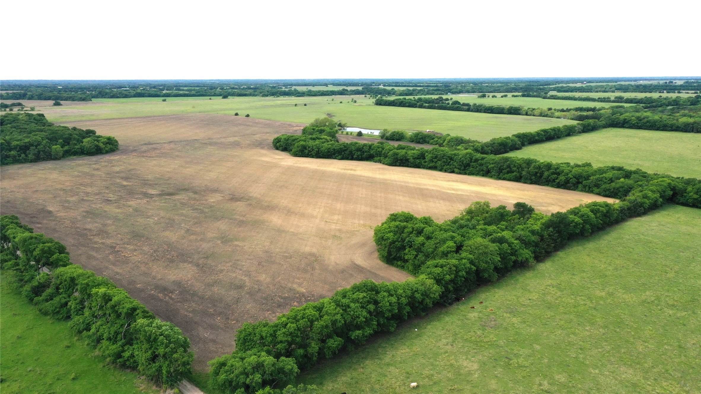 988 County Road 4142 Bonham TX 75418