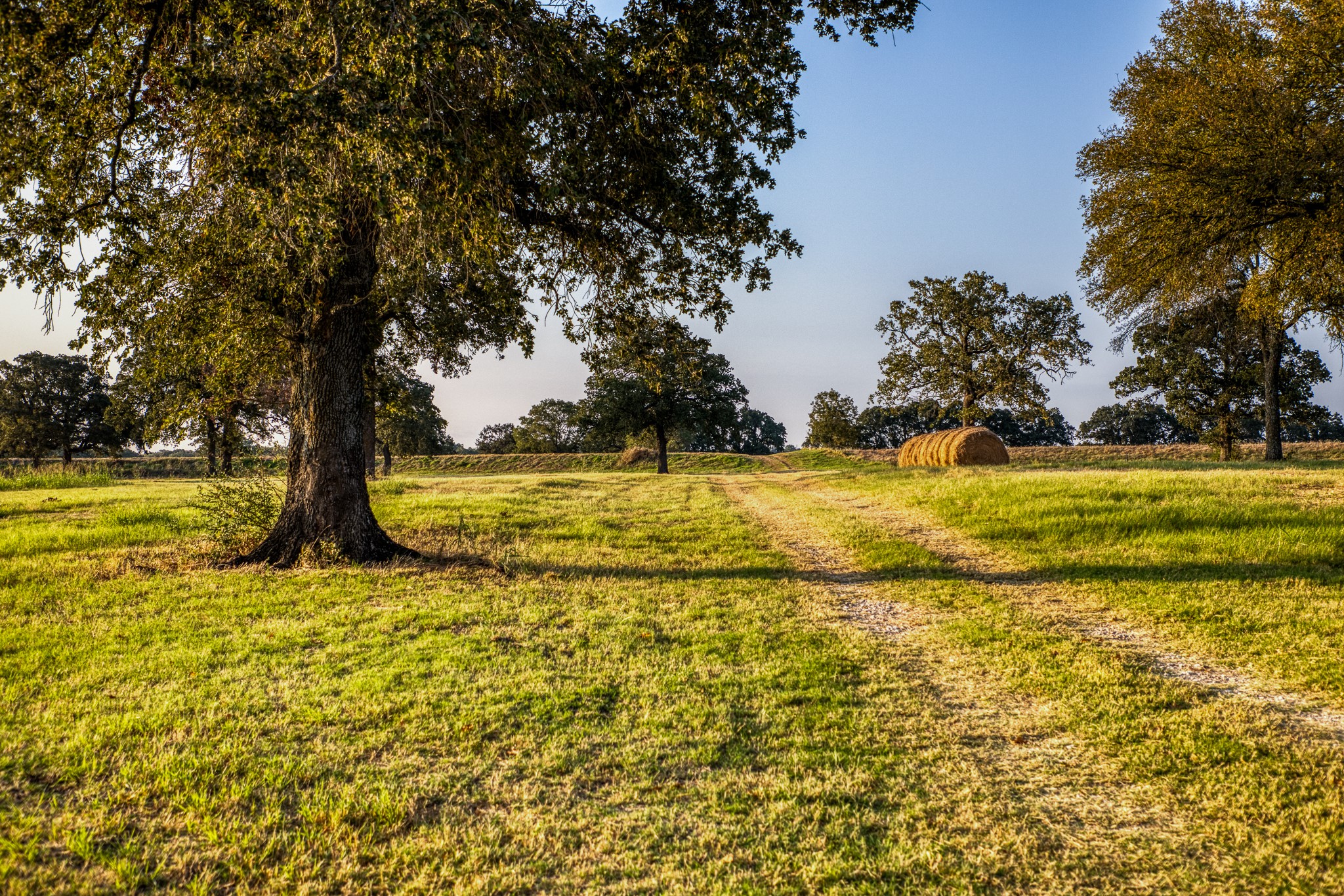 3096 Happy Swaner Lane Axtell TX 76624