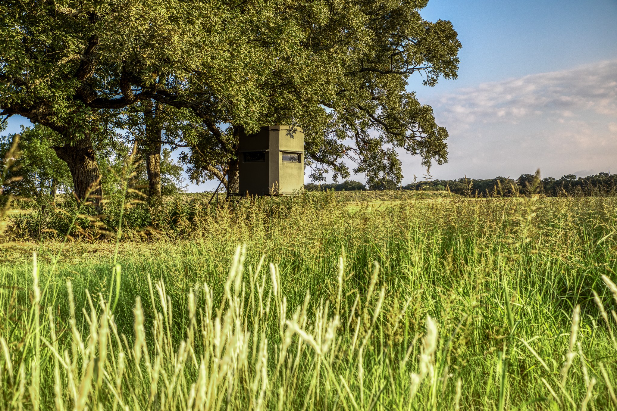 3096 Happy Swaner Lane Axtell TX 76624