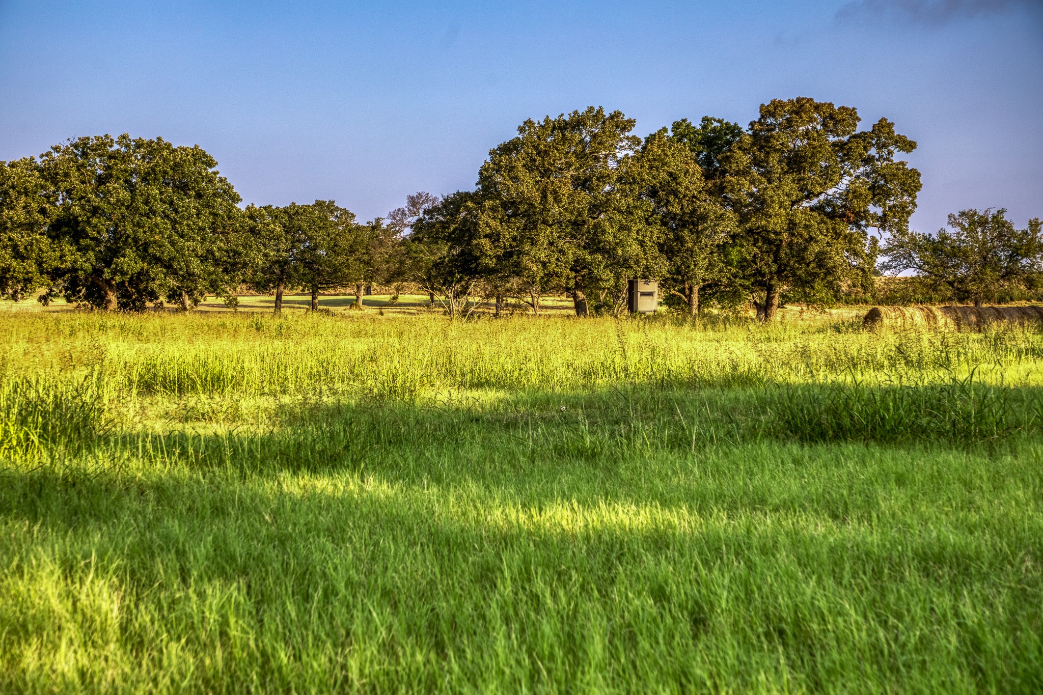 3096 Happy Swaner Lane Axtell TX 76624