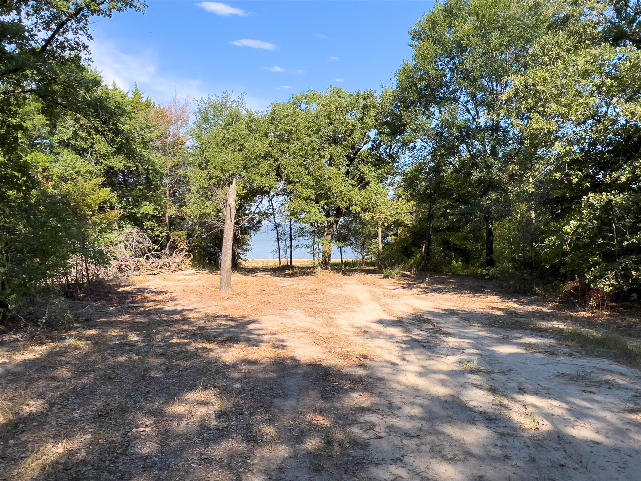 445 Sun Valley Mabank TX 75147