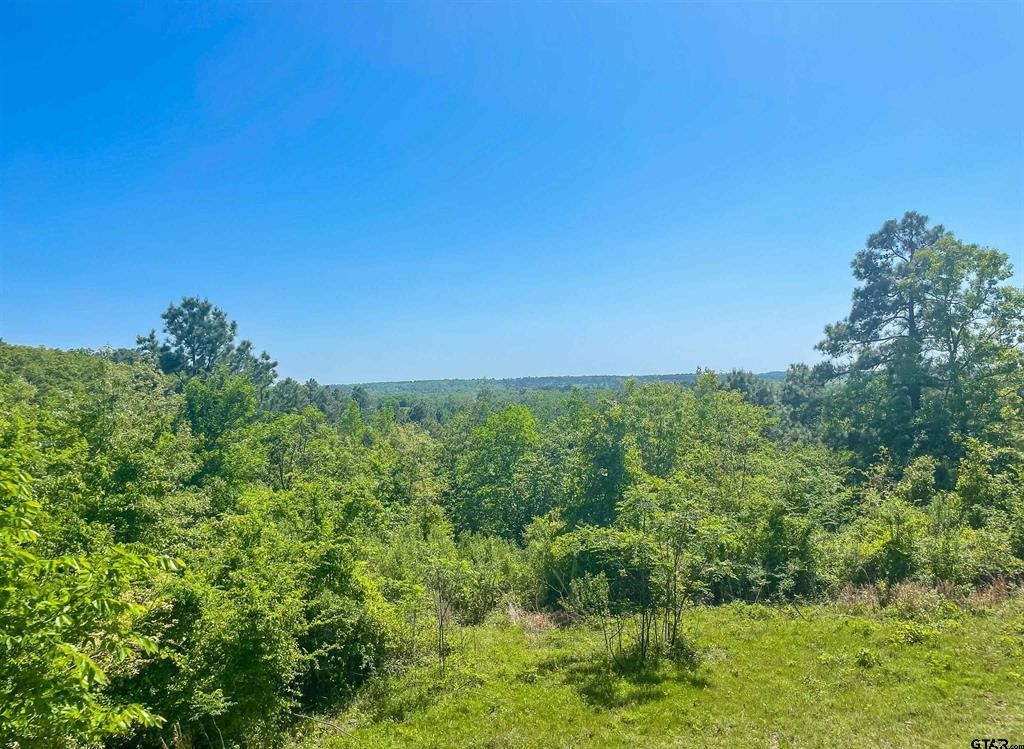 Tbd 35 +/- Ac Vz County Road 4814 Ben Wheeler TX 75754