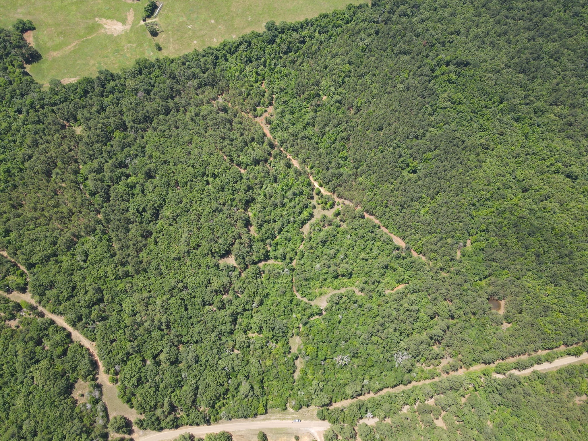 Tbd 35 +/- Ac Vz County Road 4814 Ben Wheeler TX 75754