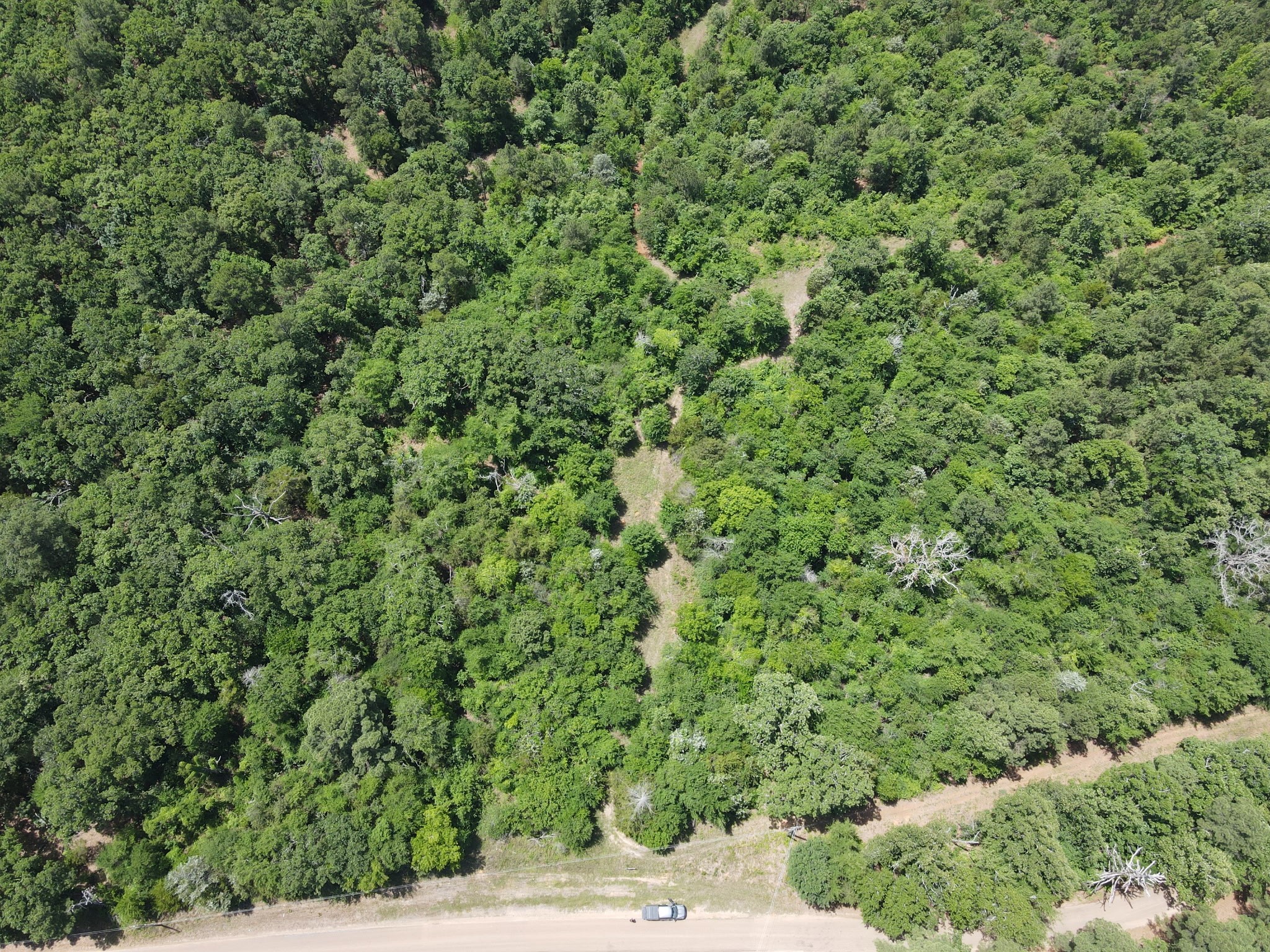 Tbd 35 +/- Ac Vz County Road 4814 Ben Wheeler TX 75754