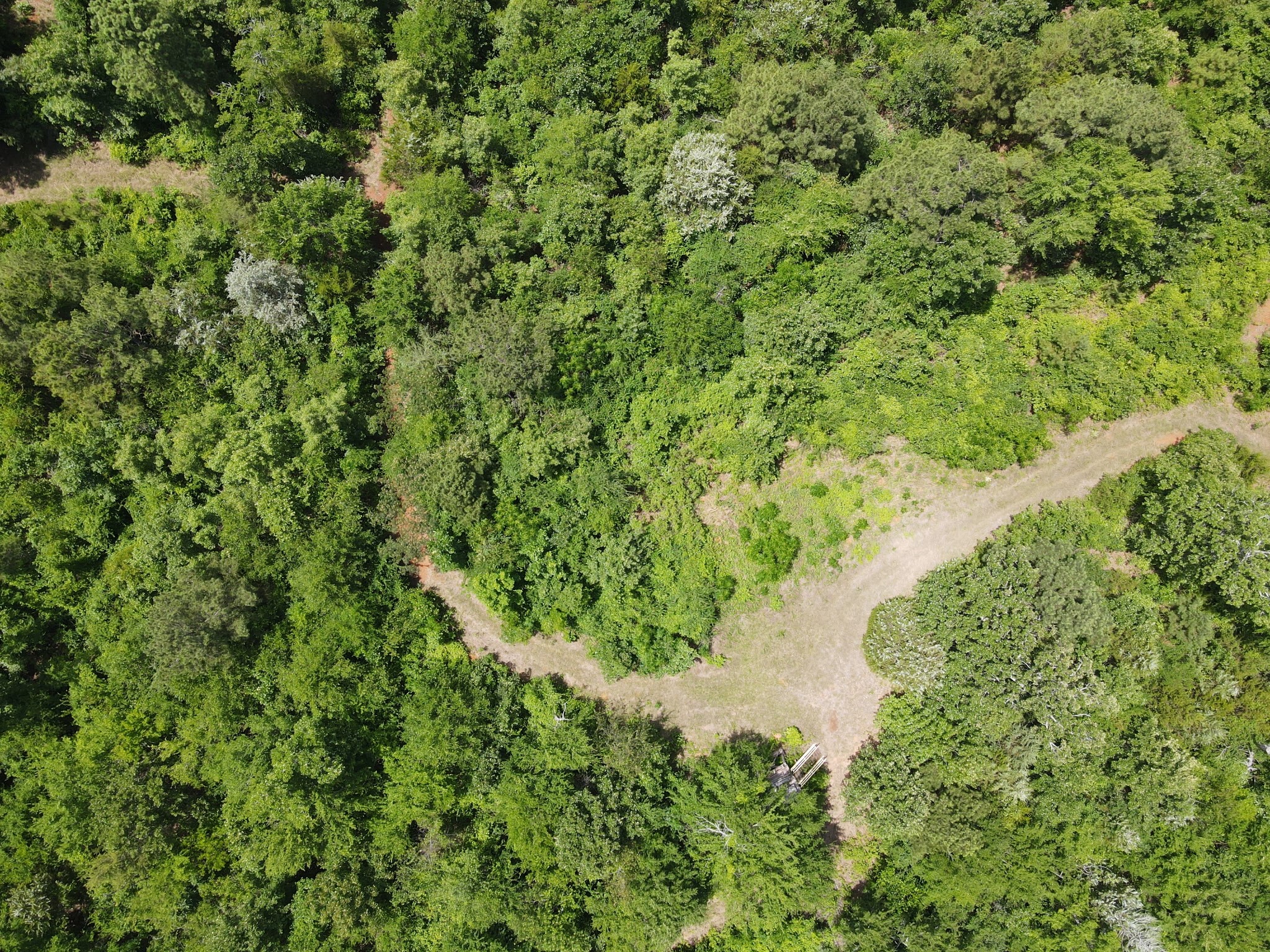 Tbd 35 +/- Ac Vz County Road 4814 Ben Wheeler TX 75754