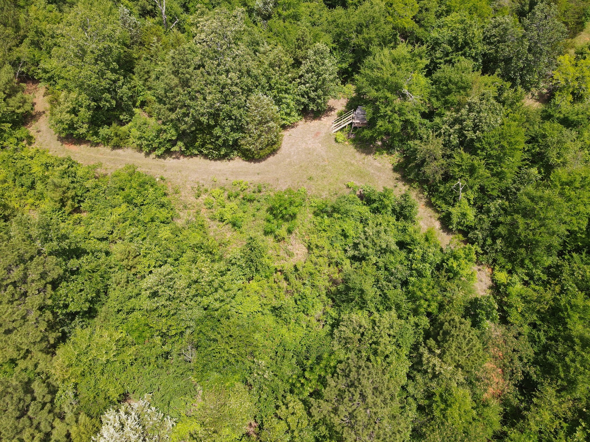 Tbd 35 +/- Ac Vz County Road 4814 Ben Wheeler TX 75754