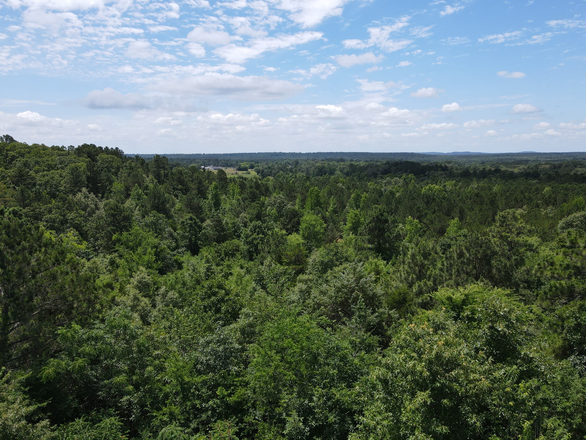 Tbd 35 +/- Ac Vz County Road 4814 Ben Wheeler TX 75754