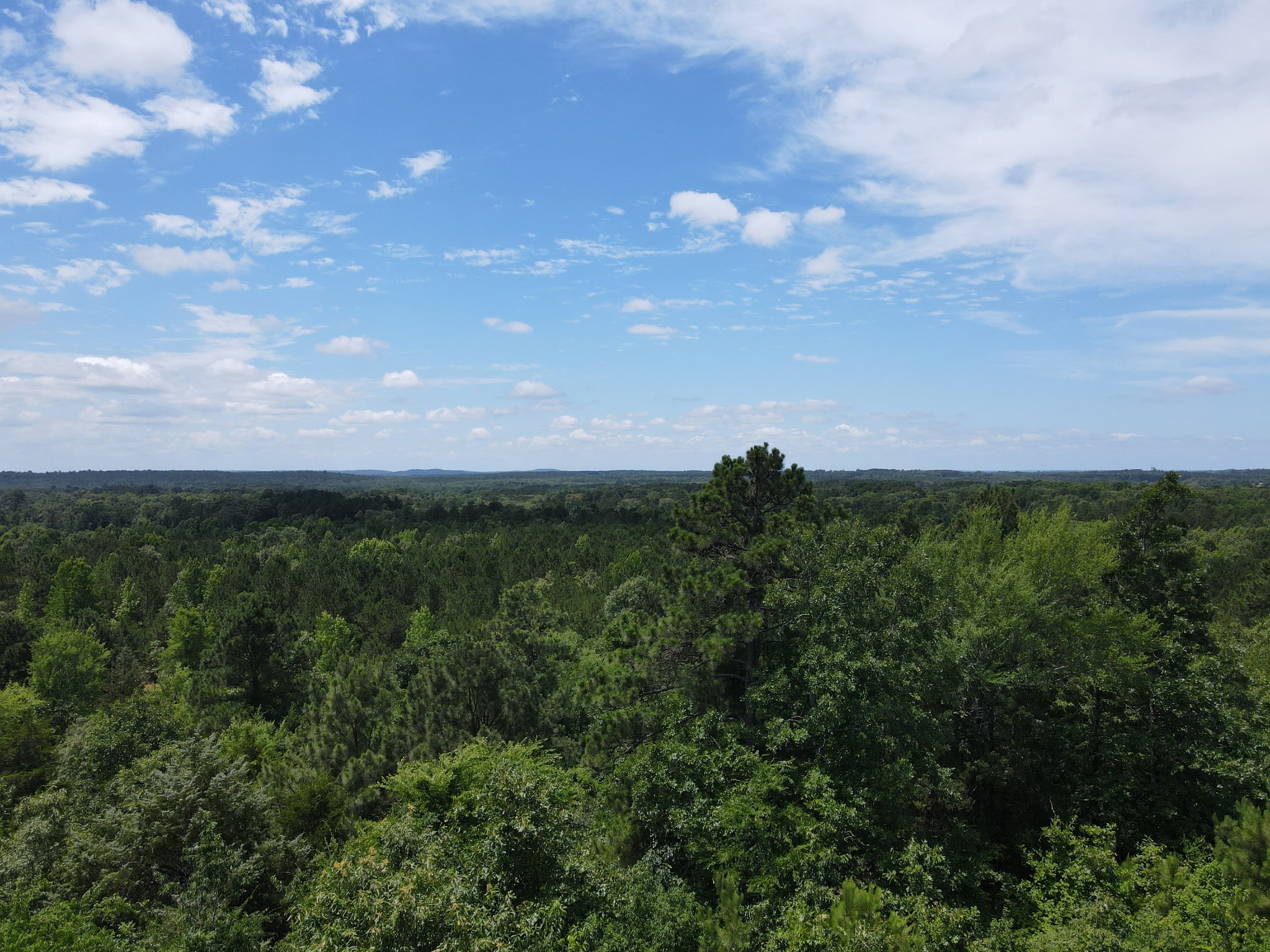 Tbd 35 +/- Ac Vz County Road 4814 Ben Wheeler TX 75754