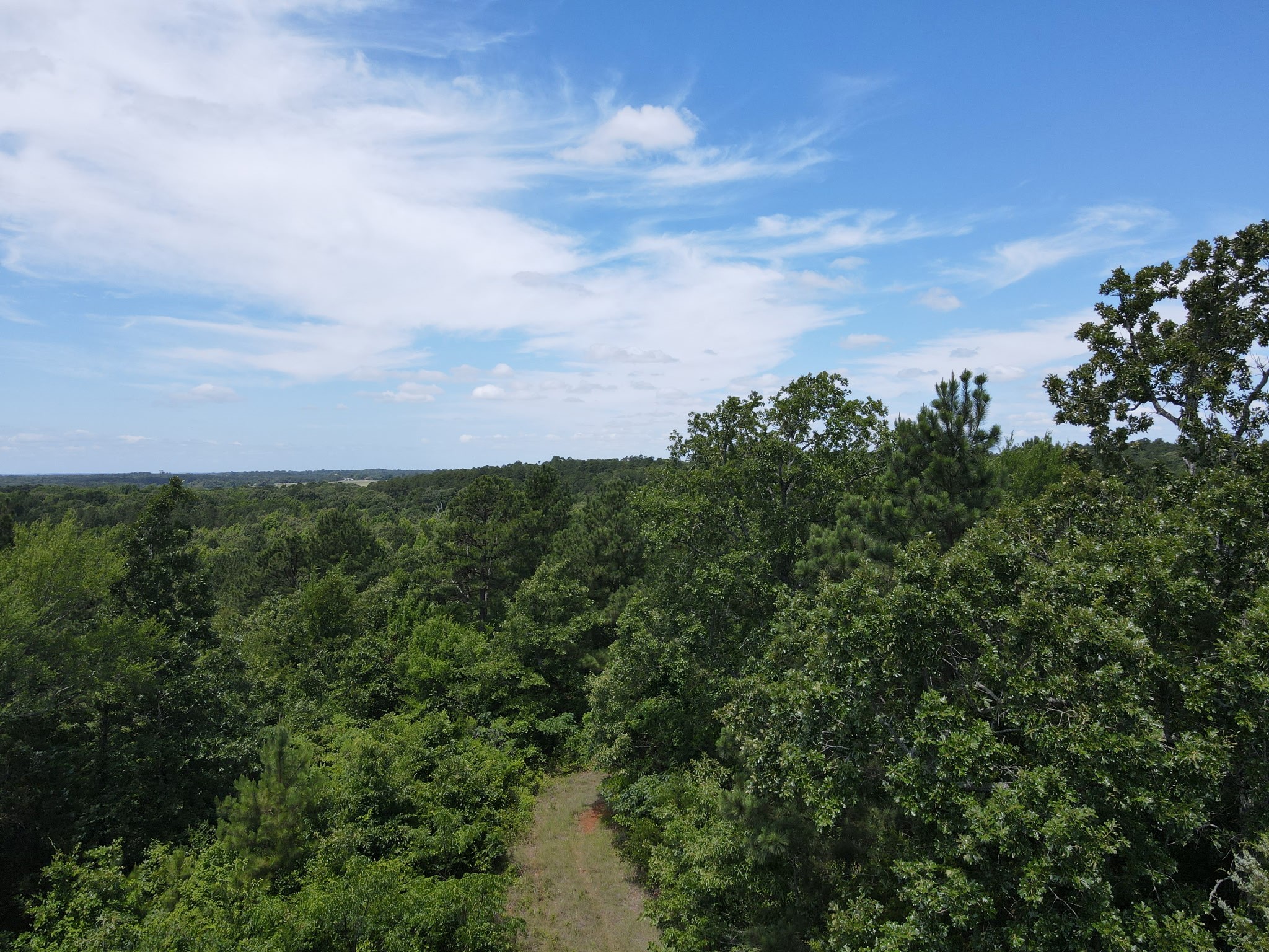 Tbd 35 +/- Ac Vz County Road 4814 Ben Wheeler TX 75754