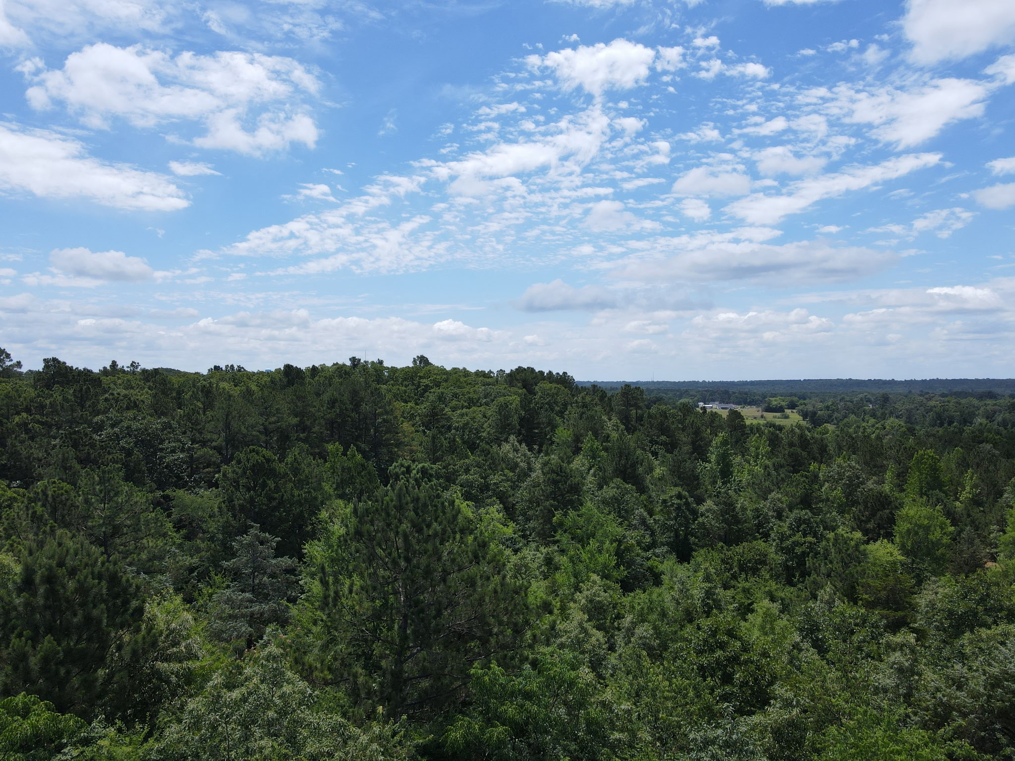 Tbd 35 +/- Ac Vz County Road 4814 Ben Wheeler TX 75754