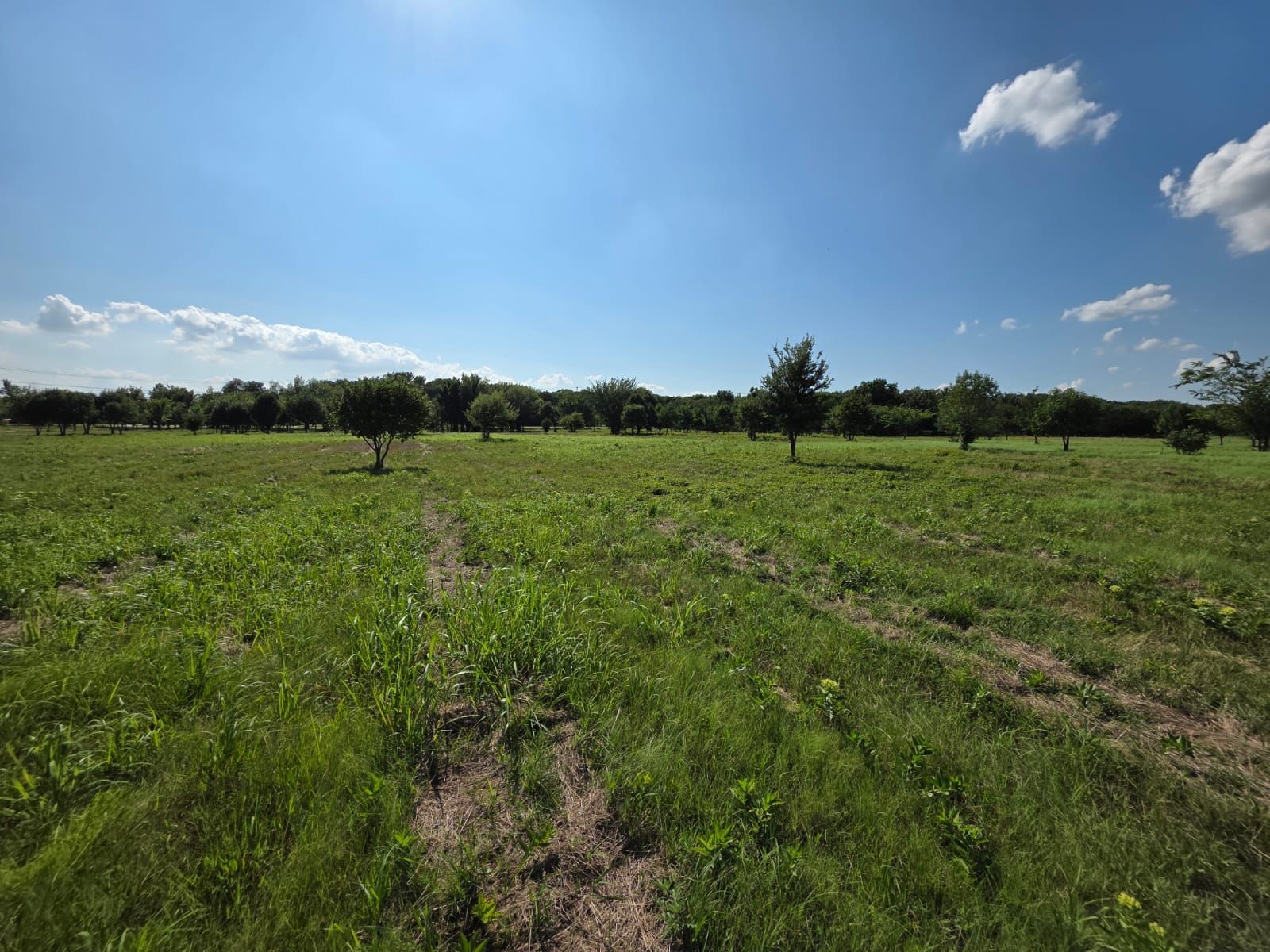 Tbd Naylor Road Oak Point TX 75068