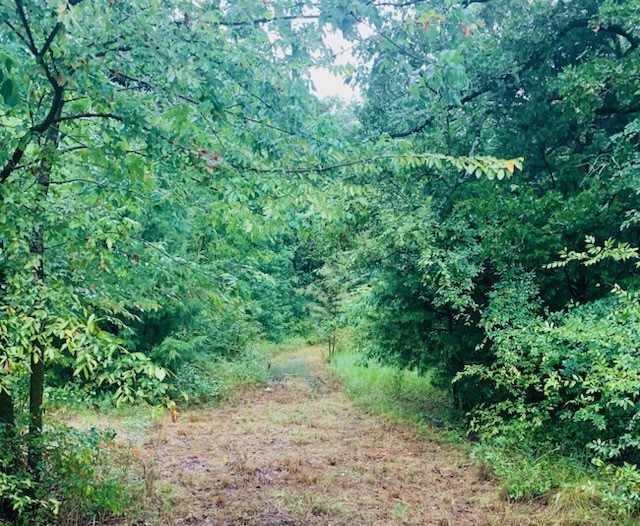 9744 Shady Lane Quinlan TX 75474