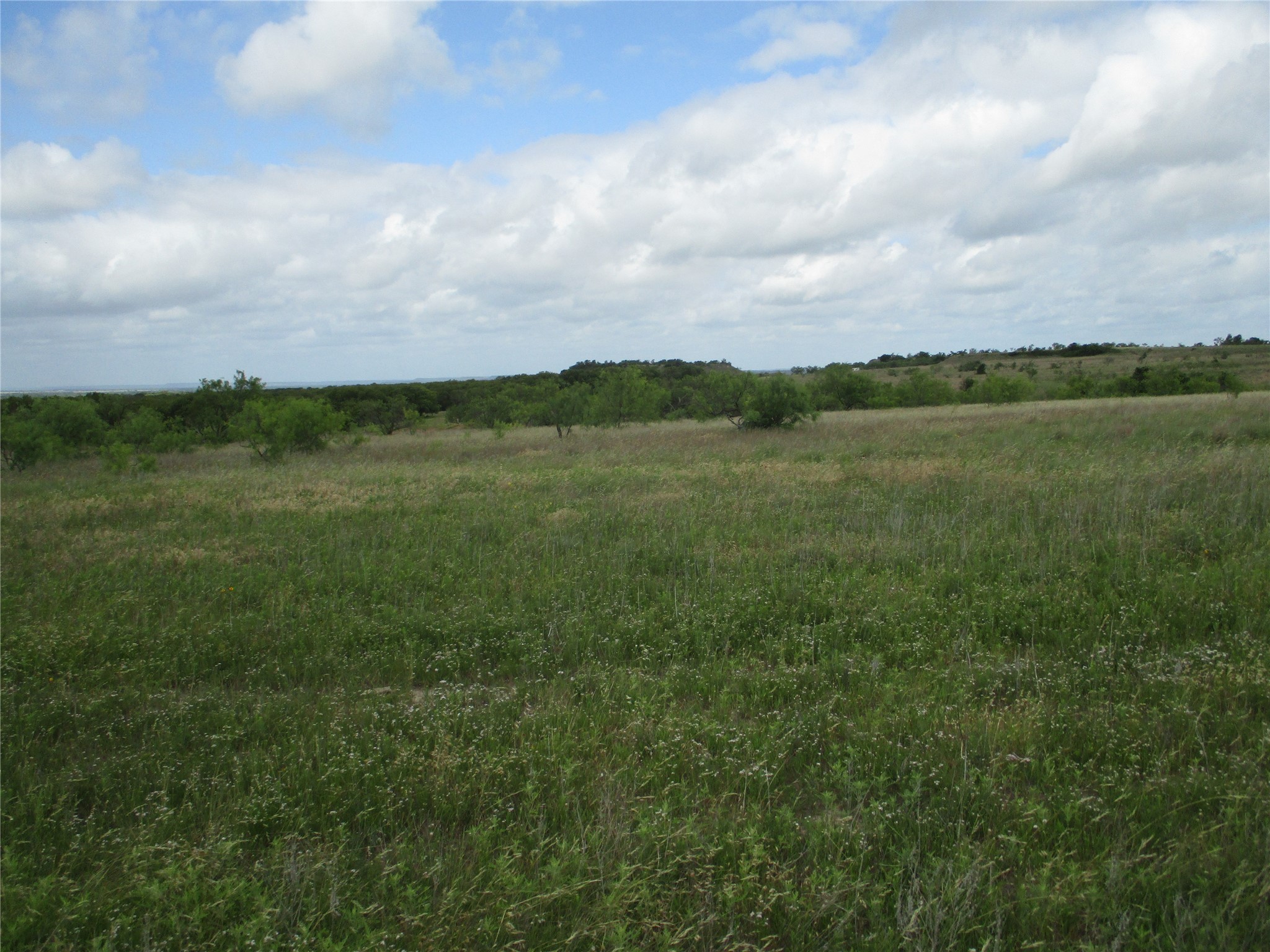 13 Ac Elenburg Road Perrin TX 76486
