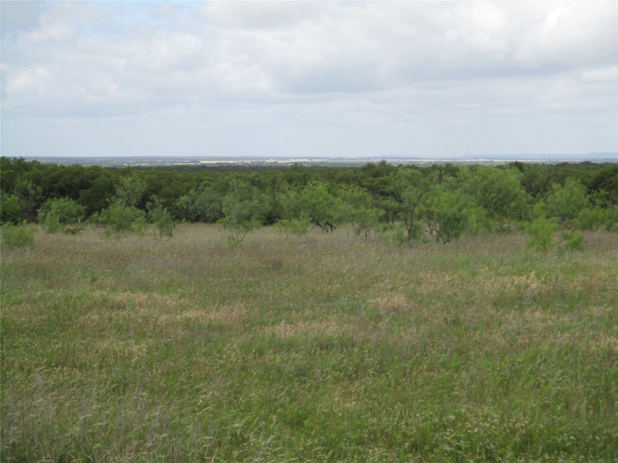 13 Ac Elenburg Road Perrin TX 76486