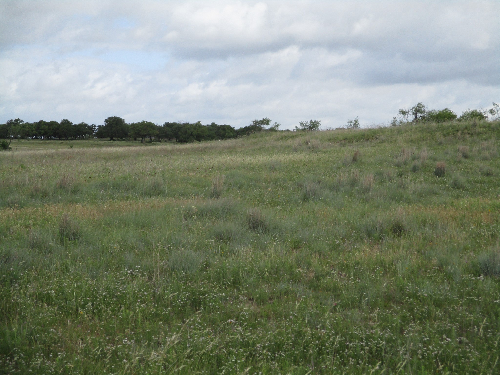 13 Ac Elenburg Road Perrin TX 76486