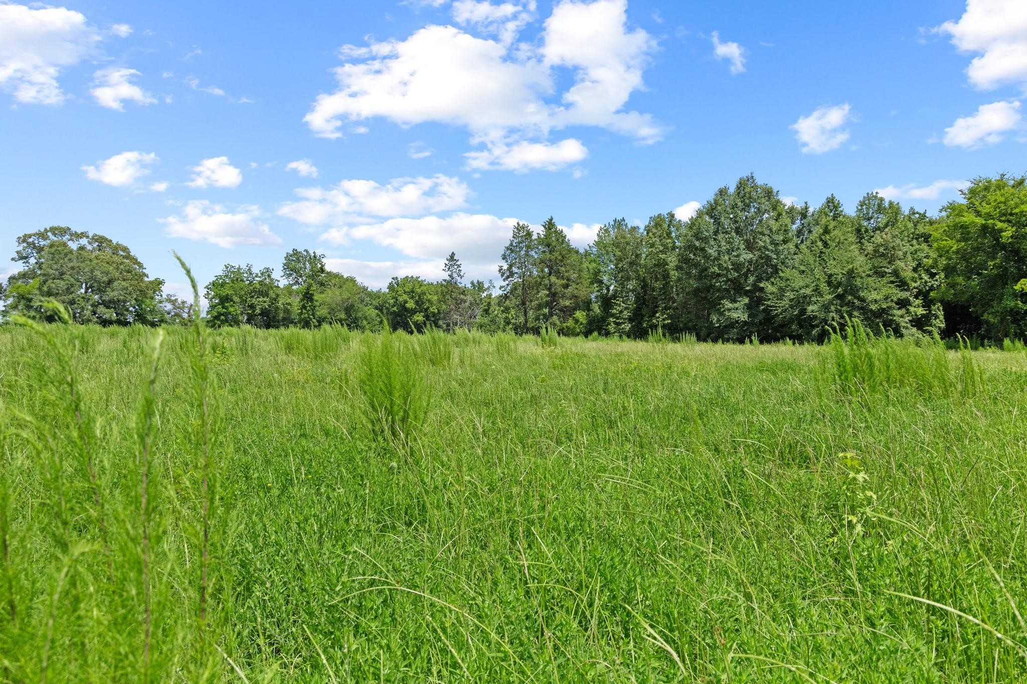0000 County Road 4427 Avery TX 75554