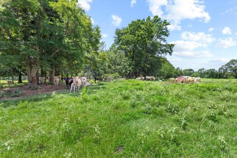 0000 County Road 4427 Avery TX 75554