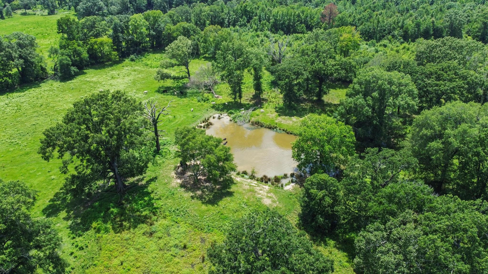 0000 County Road 4427 Avery TX 75554