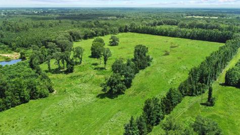 0000 County Road 4427 Avery TX 75554