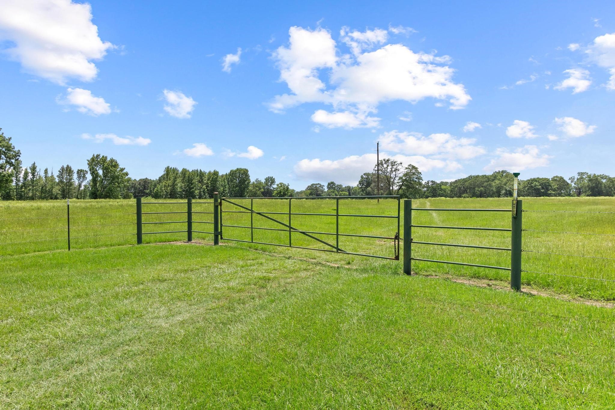 0000 County Road 4427 Avery TX 75554
