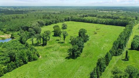 0000 County Road 4427 Avery TX 75554