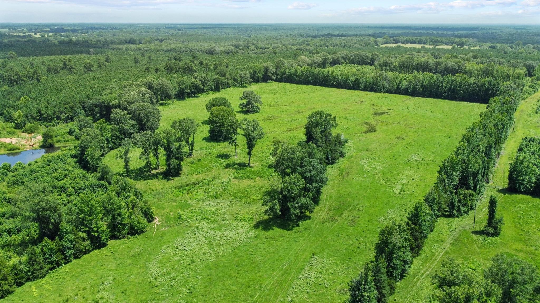 0000 County Road 4427 Avery TX 75554