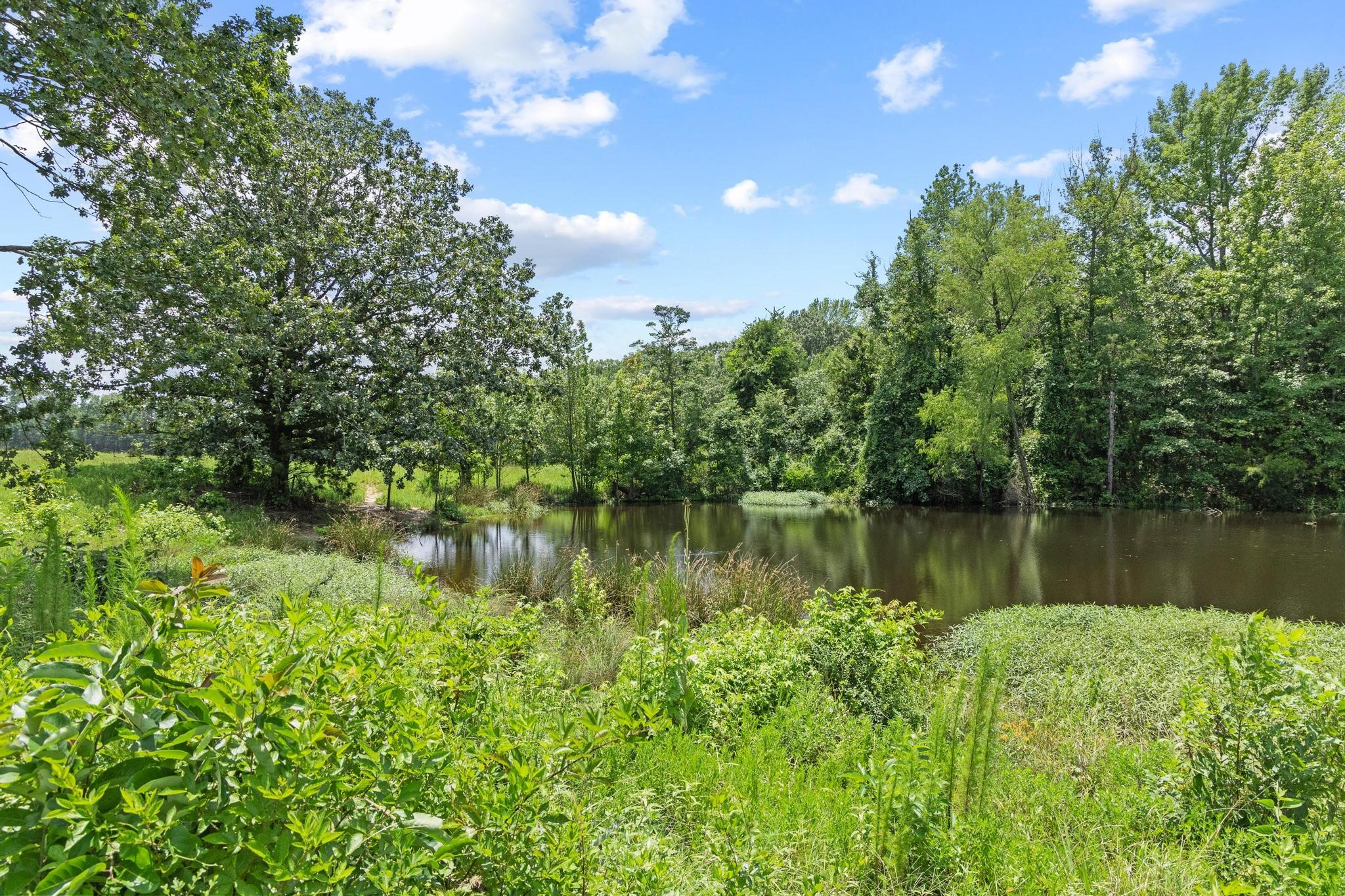 0000 County Road 4427 Avery TX 75554
