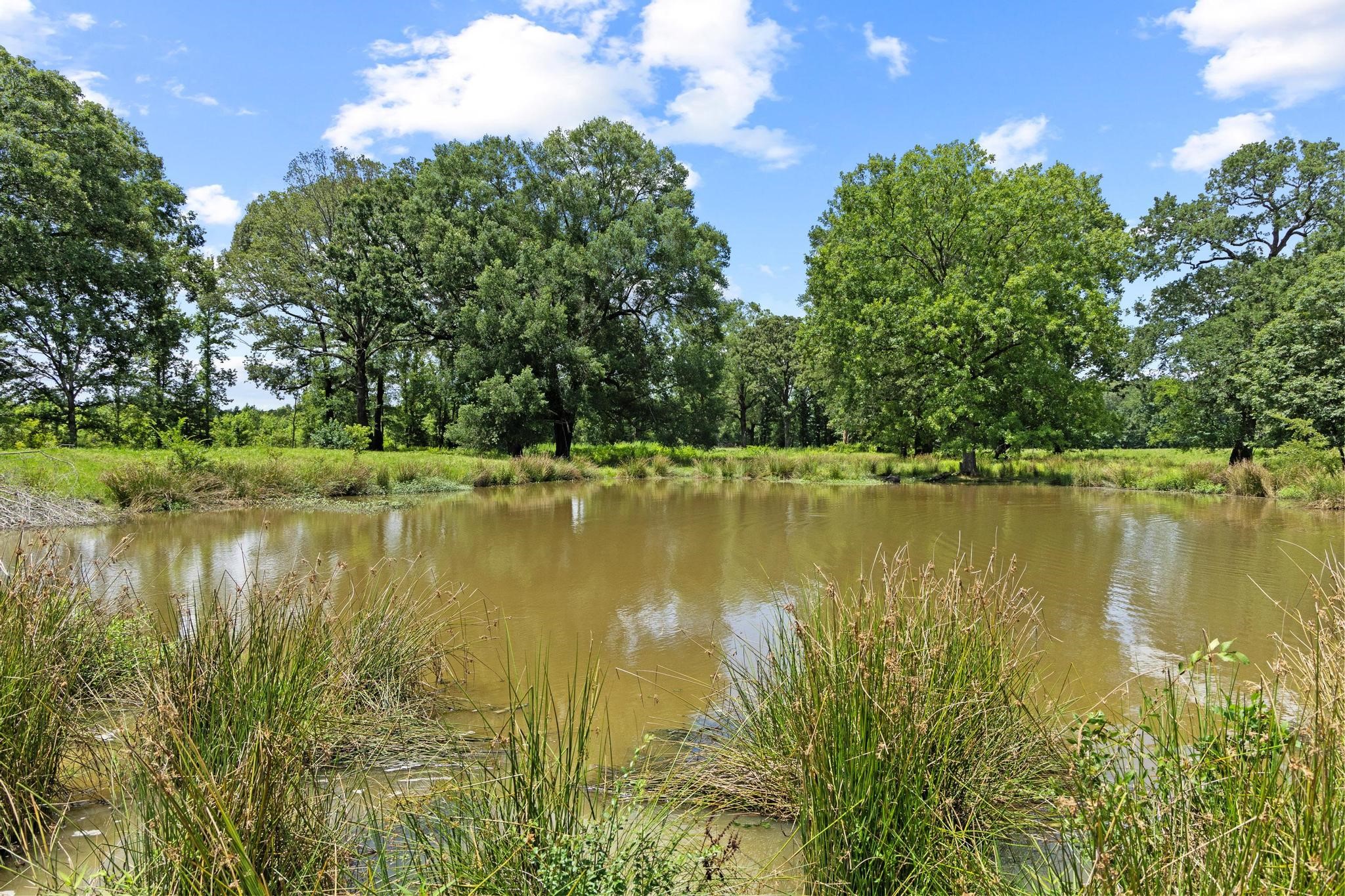 0000 County Road 4427 Avery TX 75554