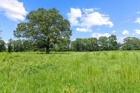 0000 County Road 4427 Avery TX 75554