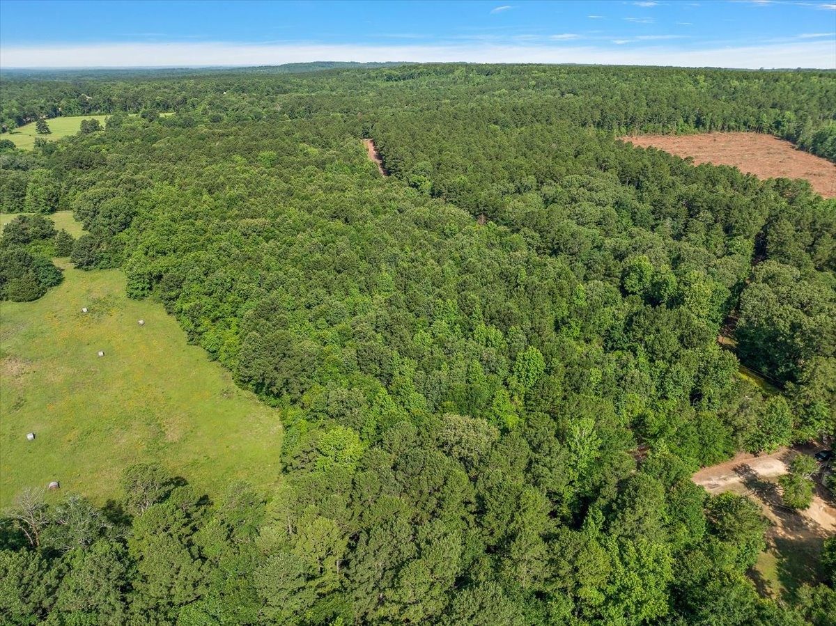 275 County Road 1720 Rusk TX 75785