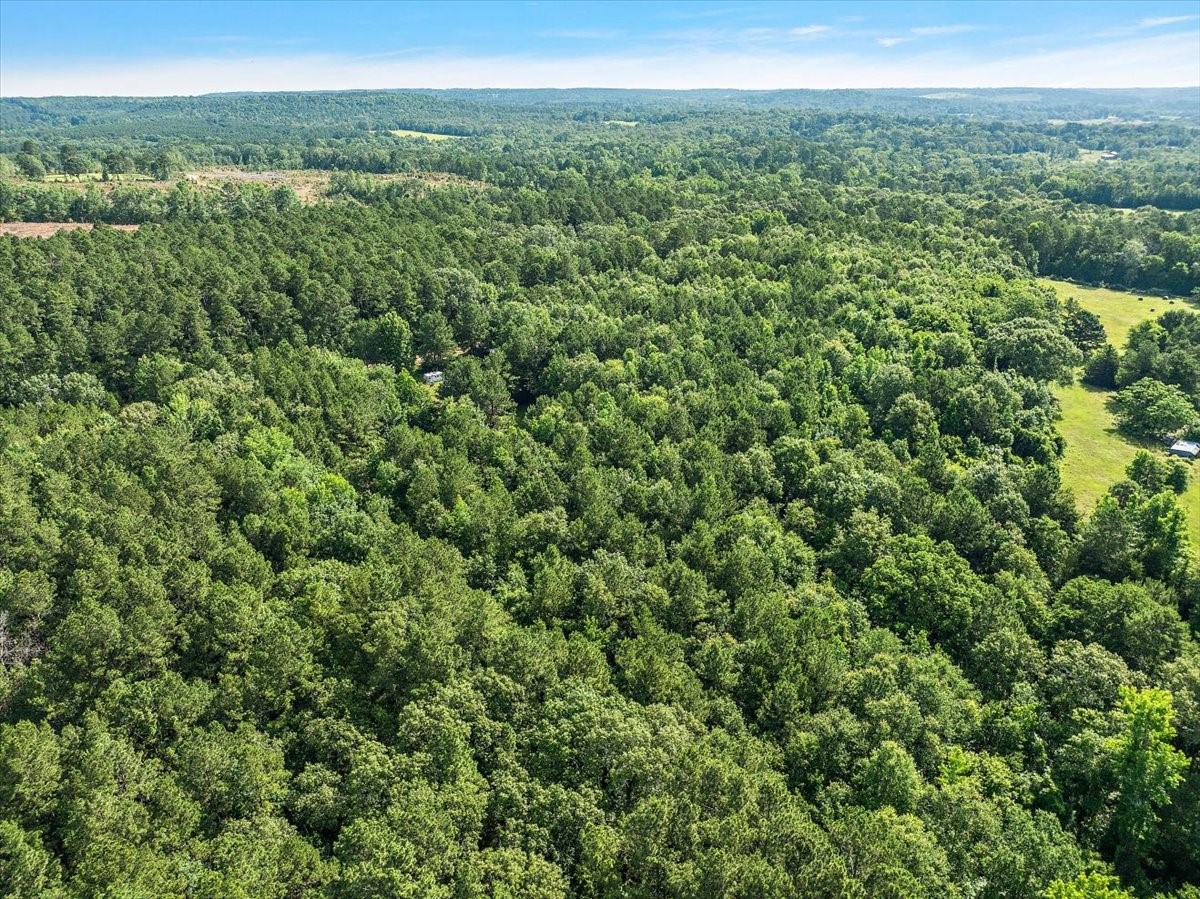 275 County Road 1720 Rusk TX 75785