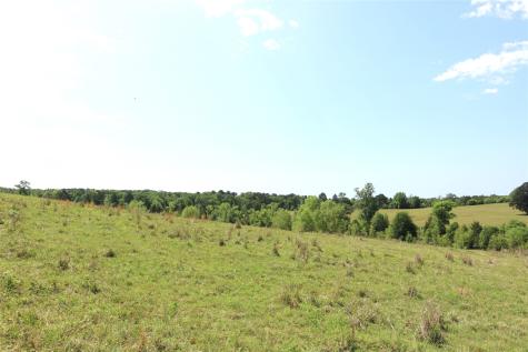 Tbd Tract 2 State Highway 155 Ore City TX 75755