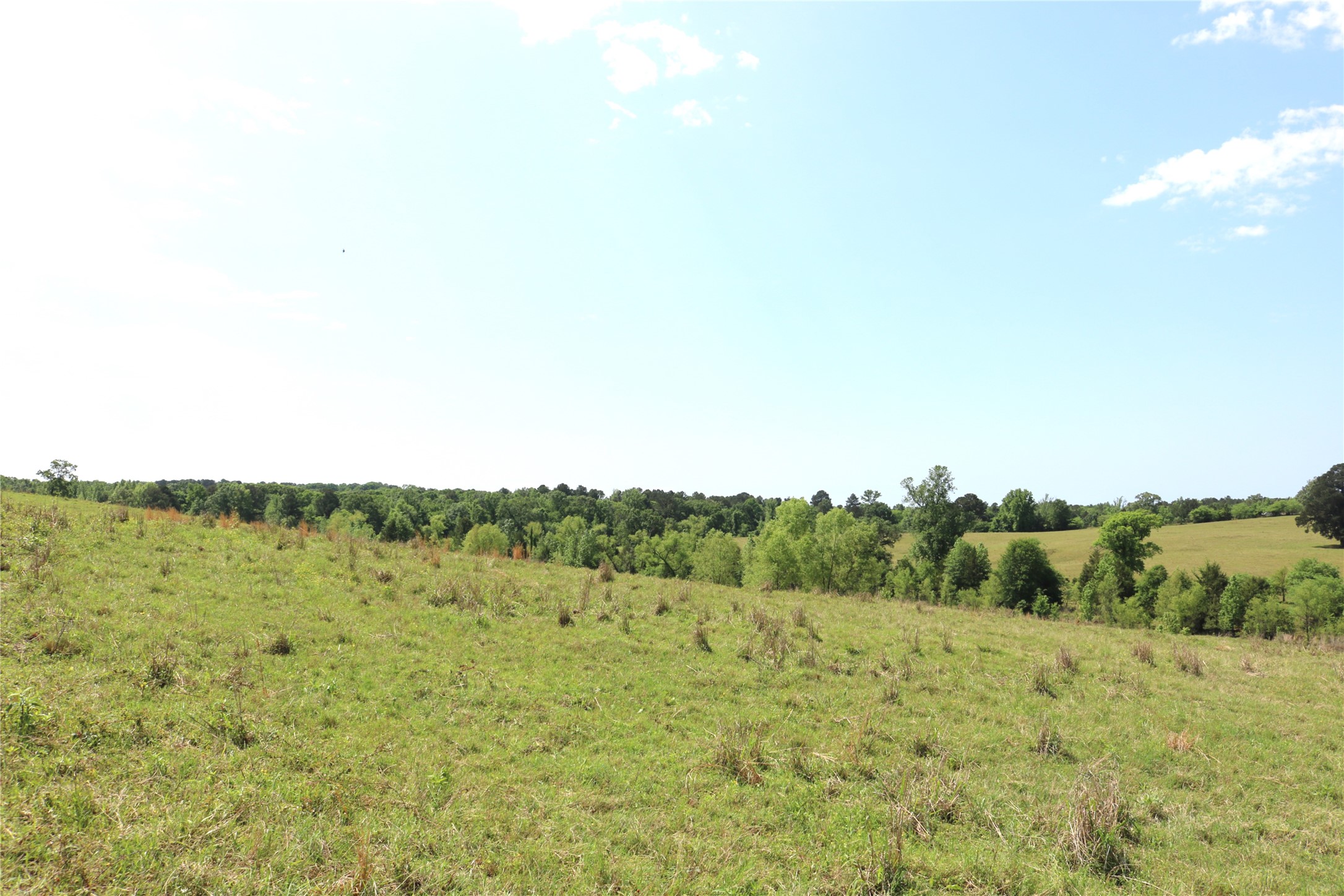 Tbd Tract 2 State Highway 155 Ore City TX 75755