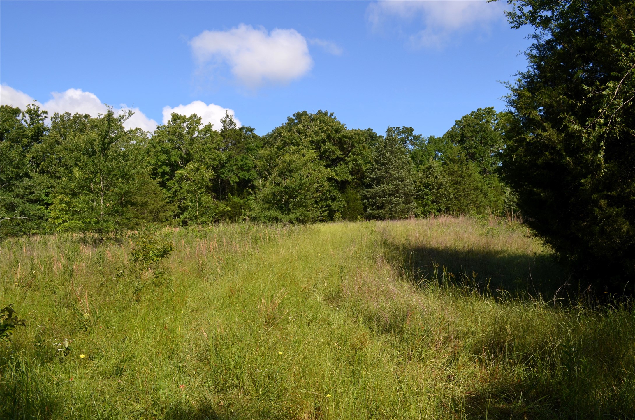 760 Vz County Road Eustace TX 75124