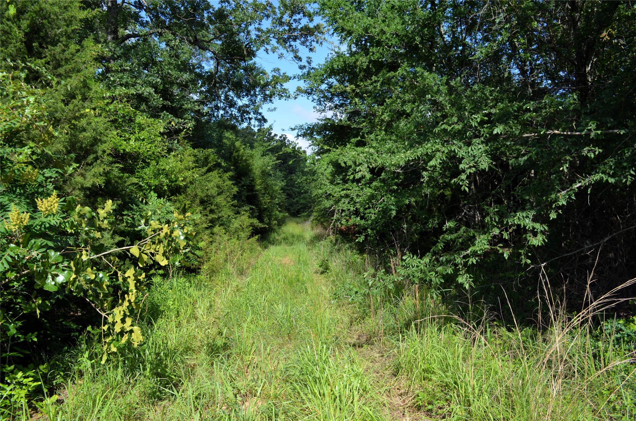 760 Vz County Road Eustace TX 75124