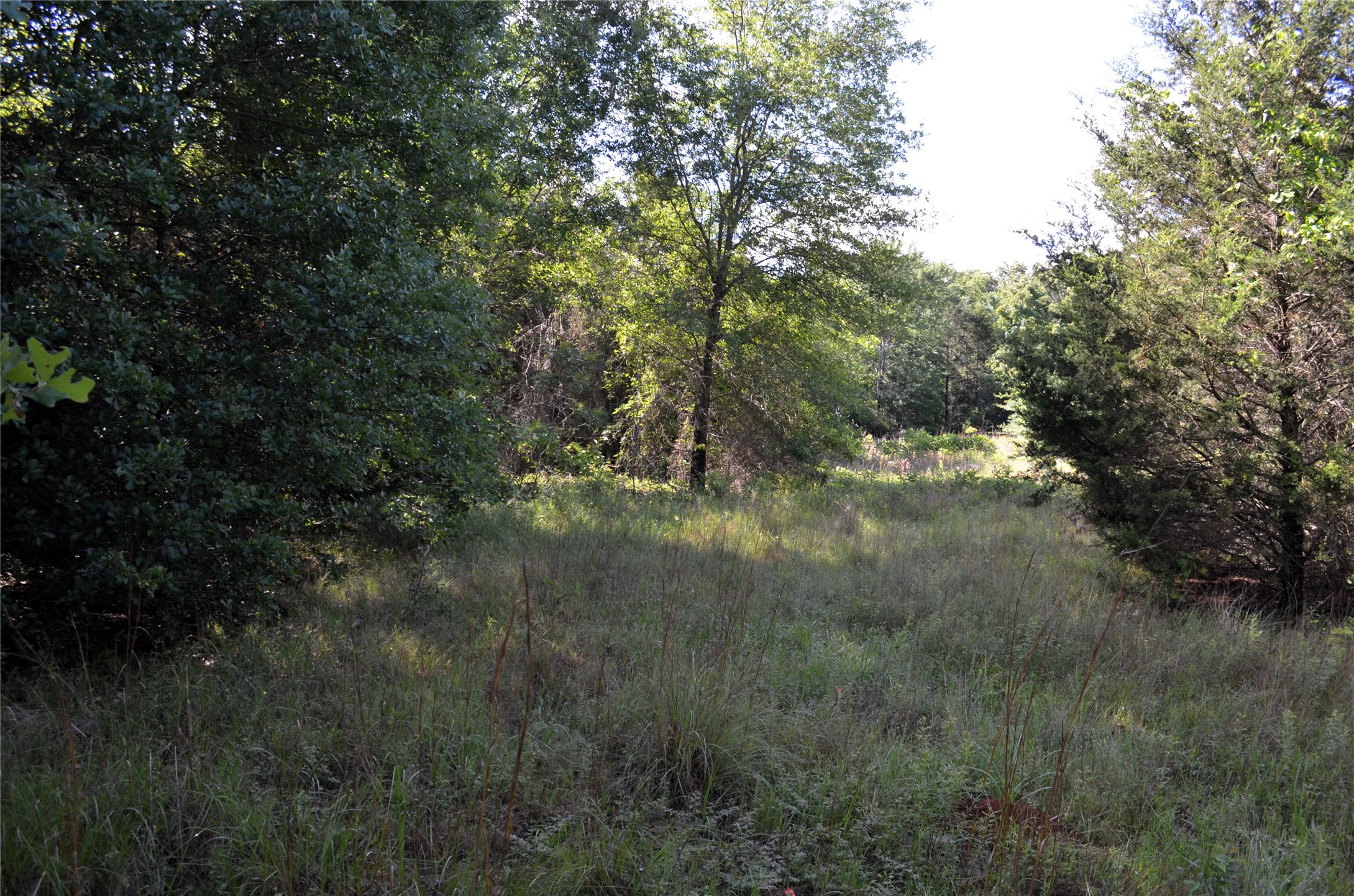 760 Vz County Road Eustace TX 75124