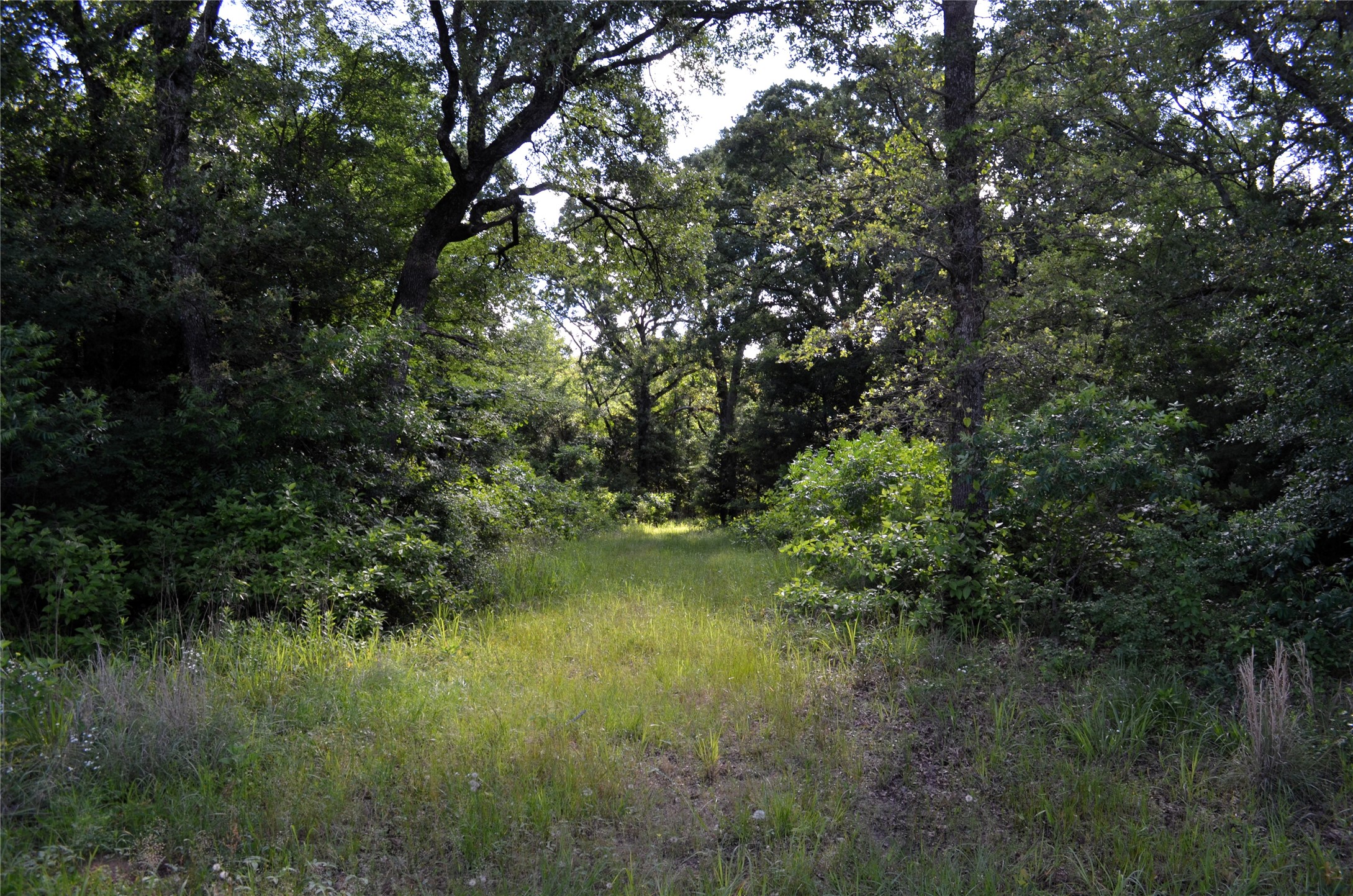 760 Vz County Road Eustace TX 75124