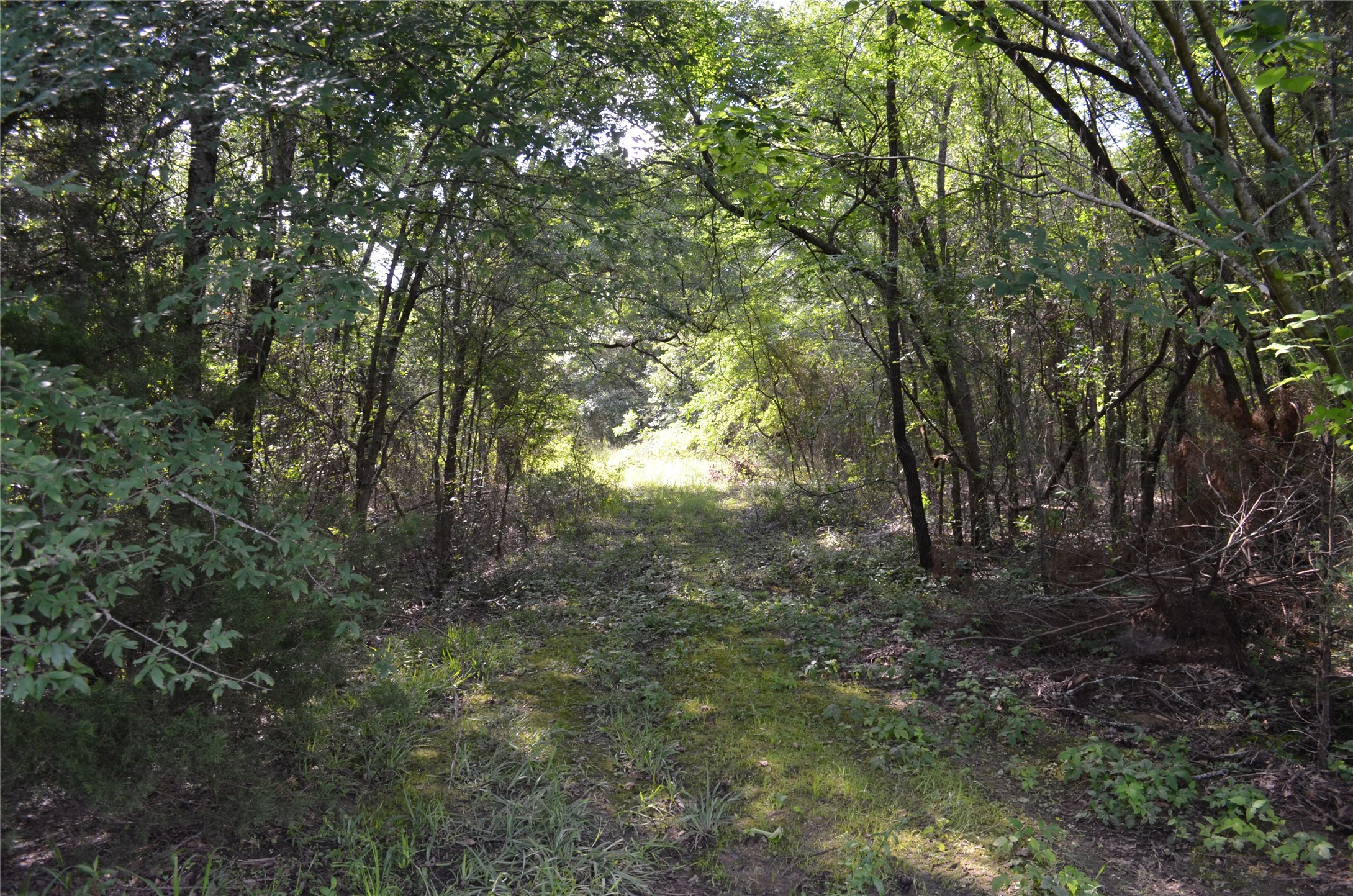 760 Vz County Road Eustace TX 75124