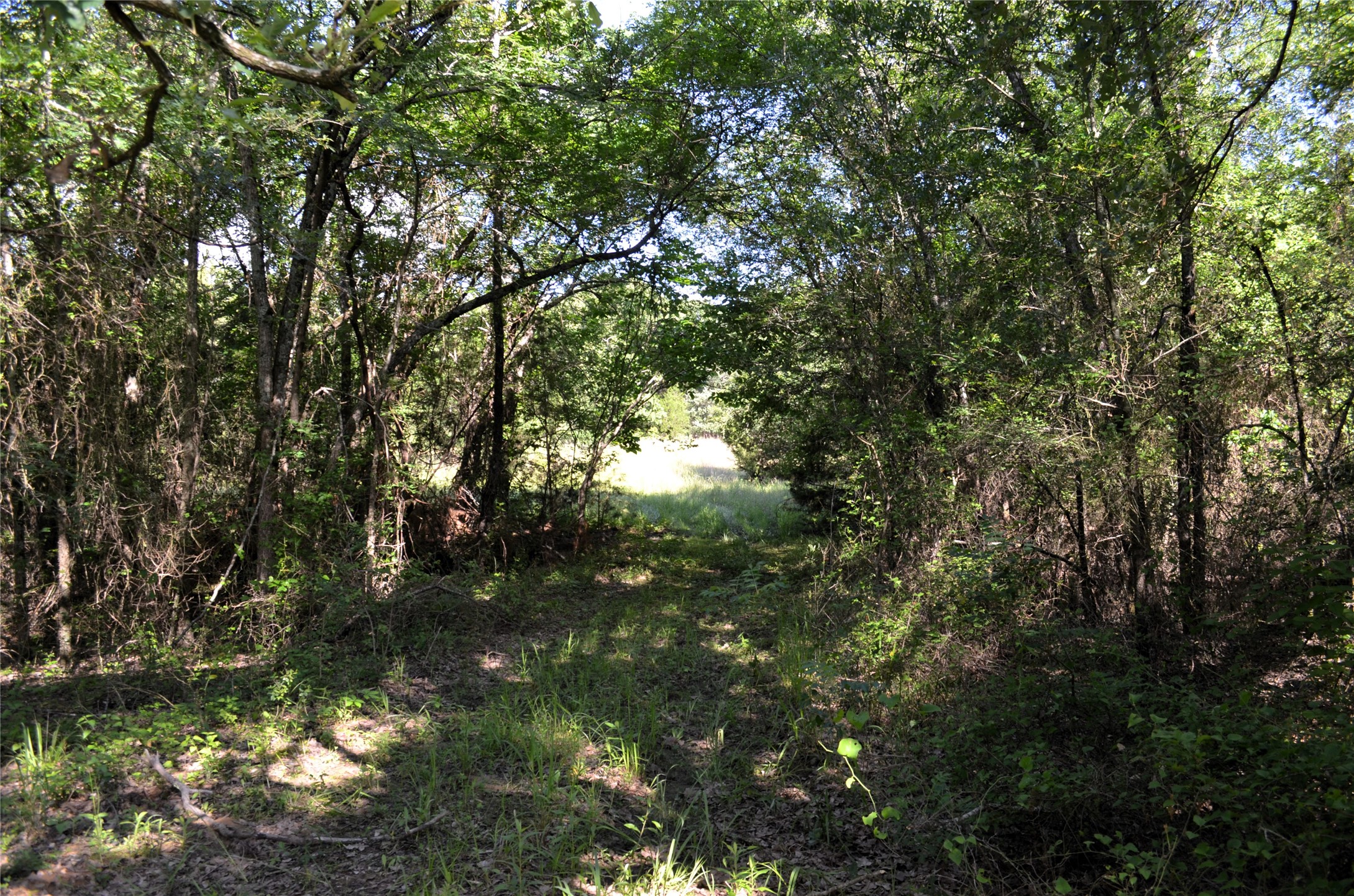 760 Vz County Road Eustace TX 75124