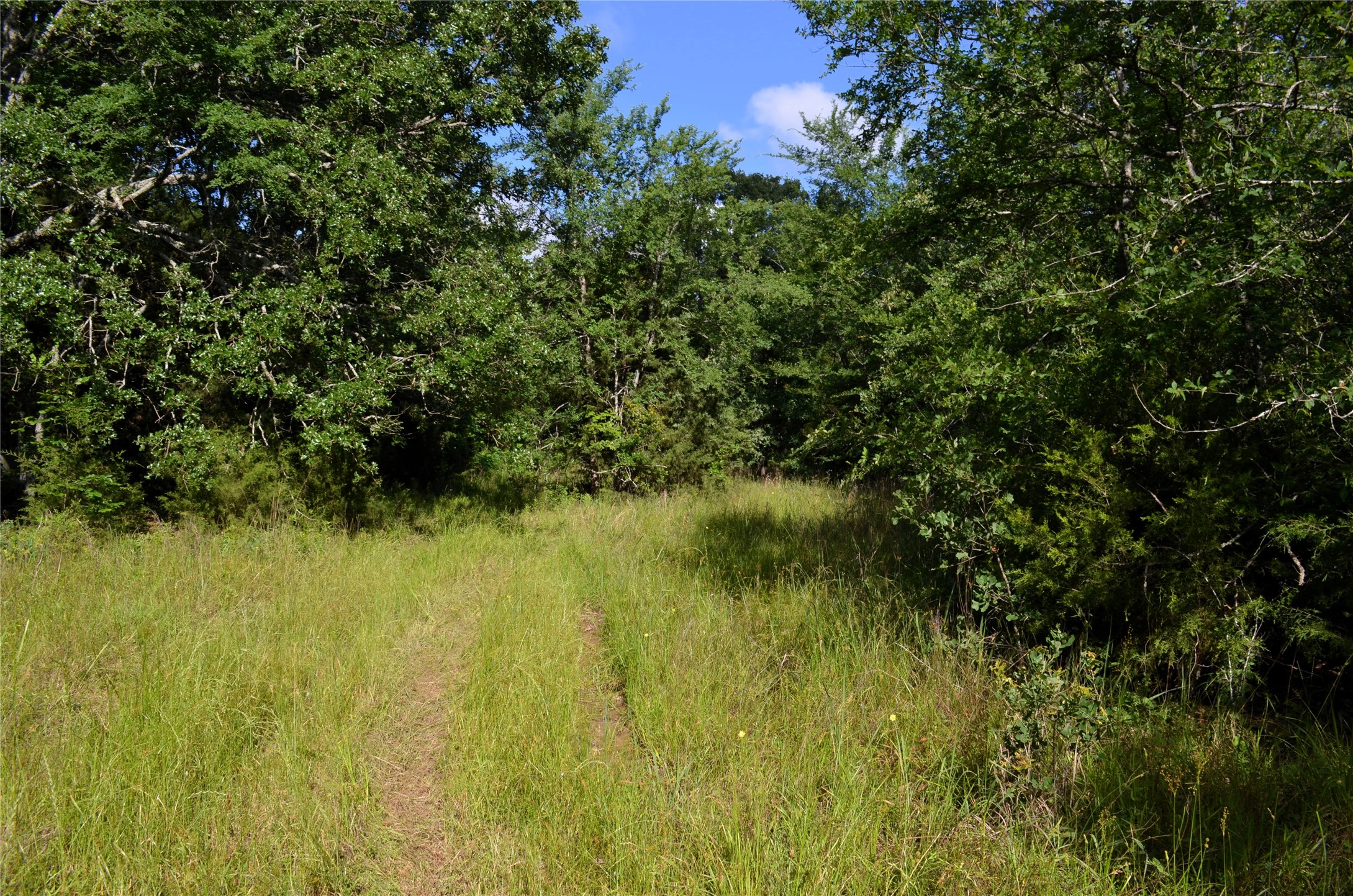 760 Vz County Road Eustace TX 75124