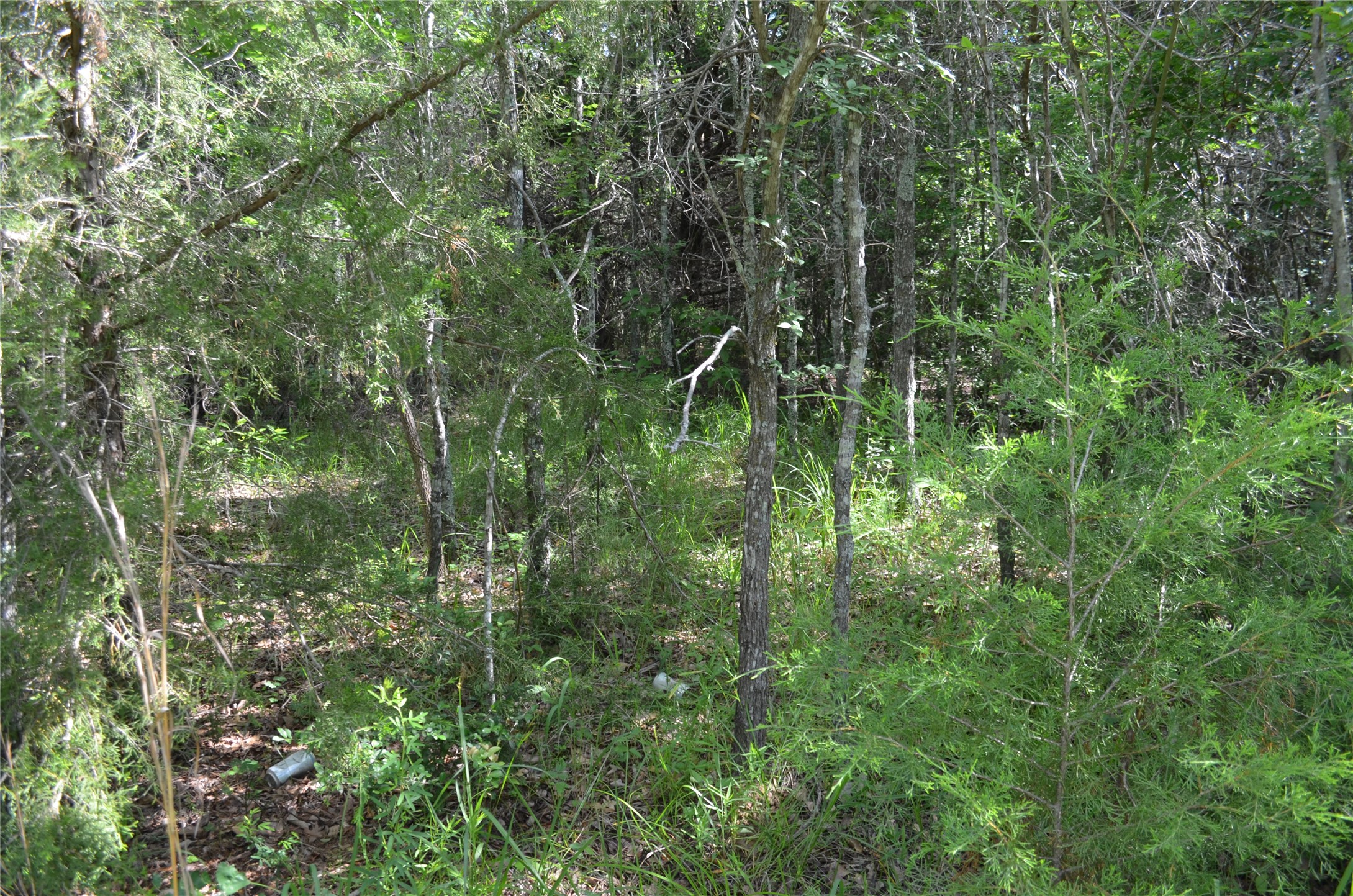 760 Vz County Road Eustace TX 75124