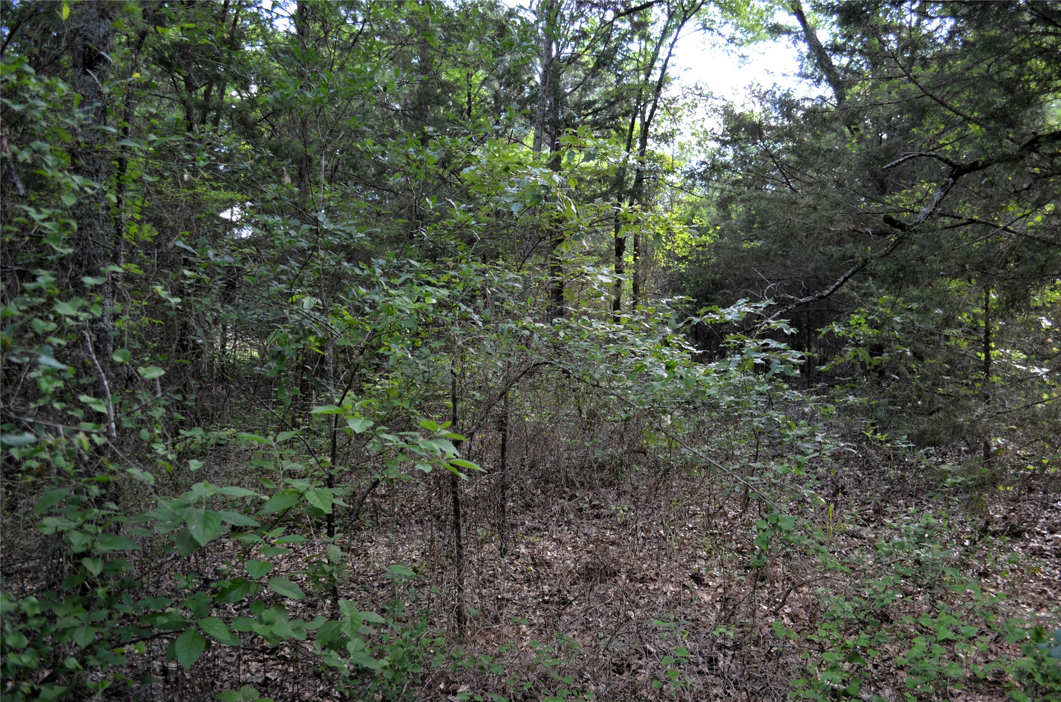 760 Vz County Road Eustace TX 75124
