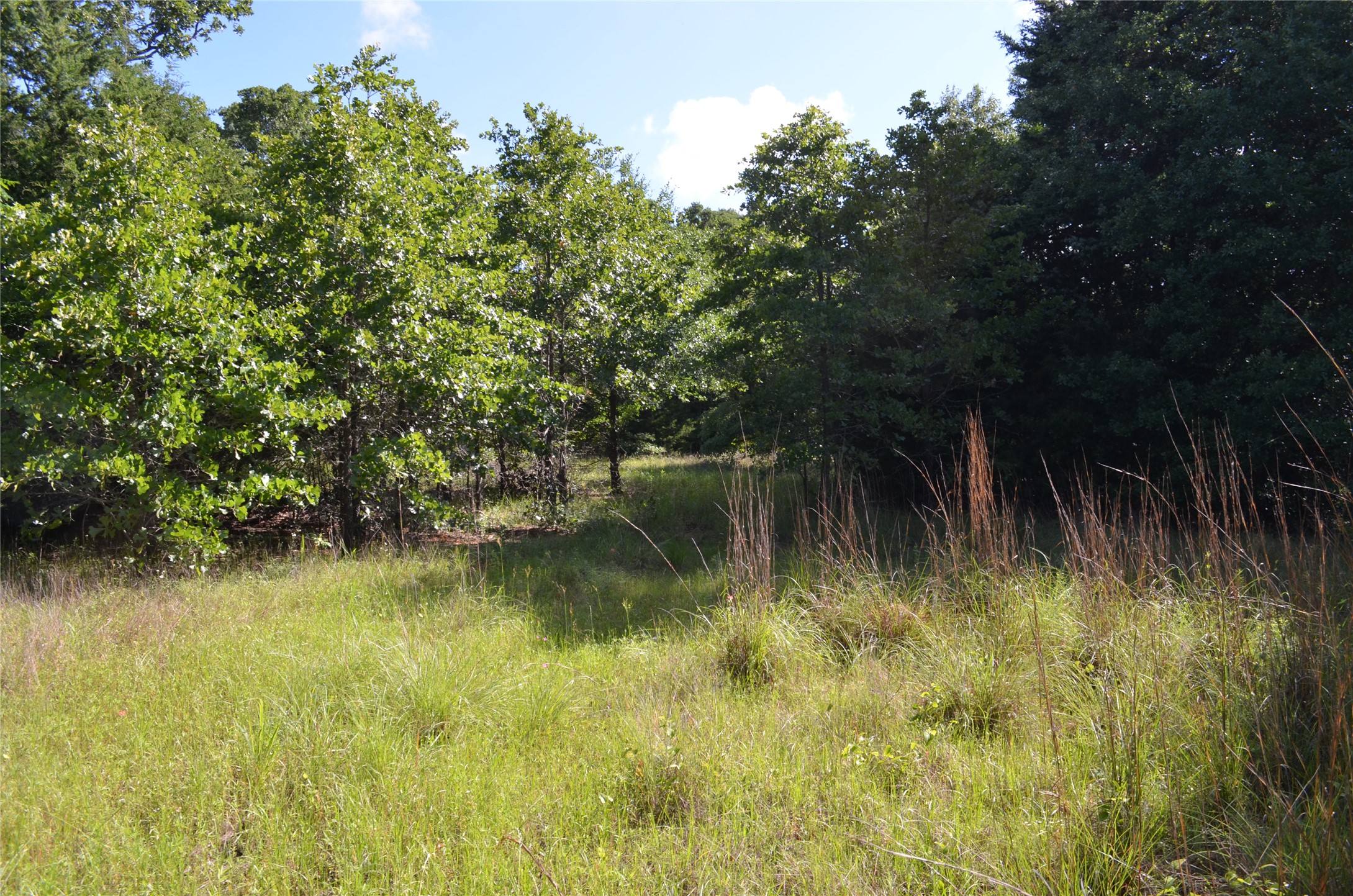 760 Vz County Road Eustace TX 75124