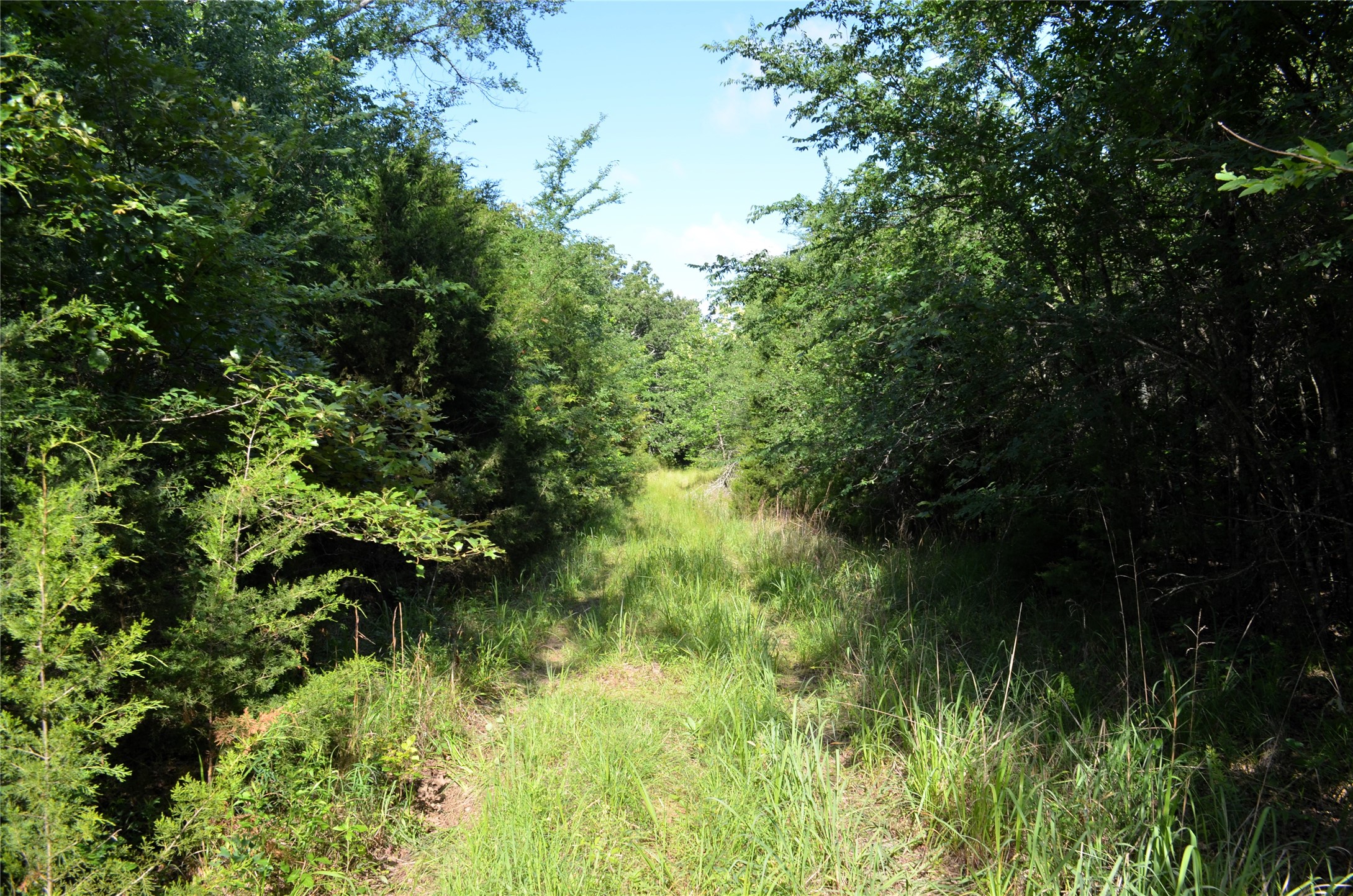 760 Vz County Road Eustace TX 75124