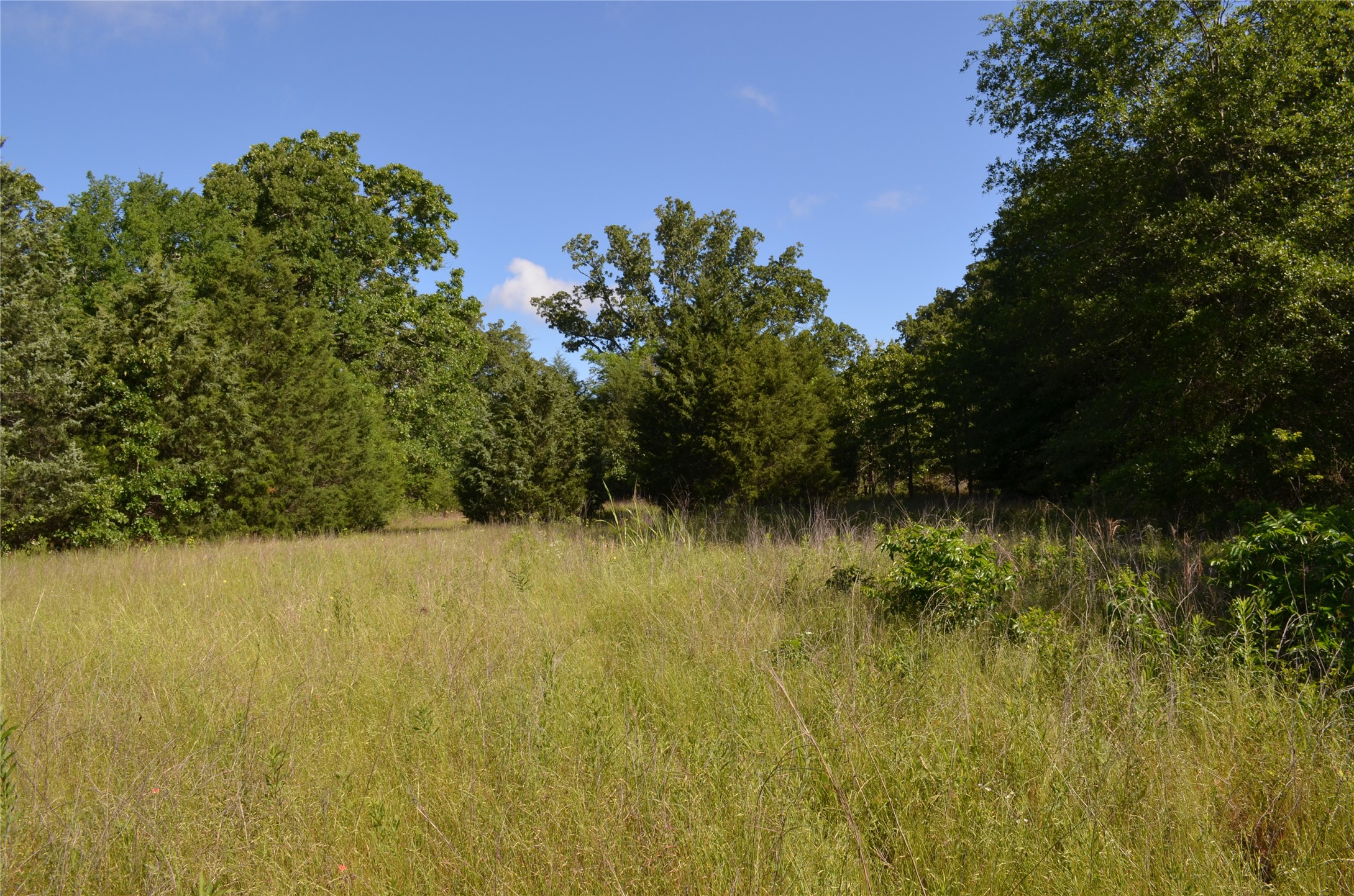 760 Vz County Road Eustace TX 75124