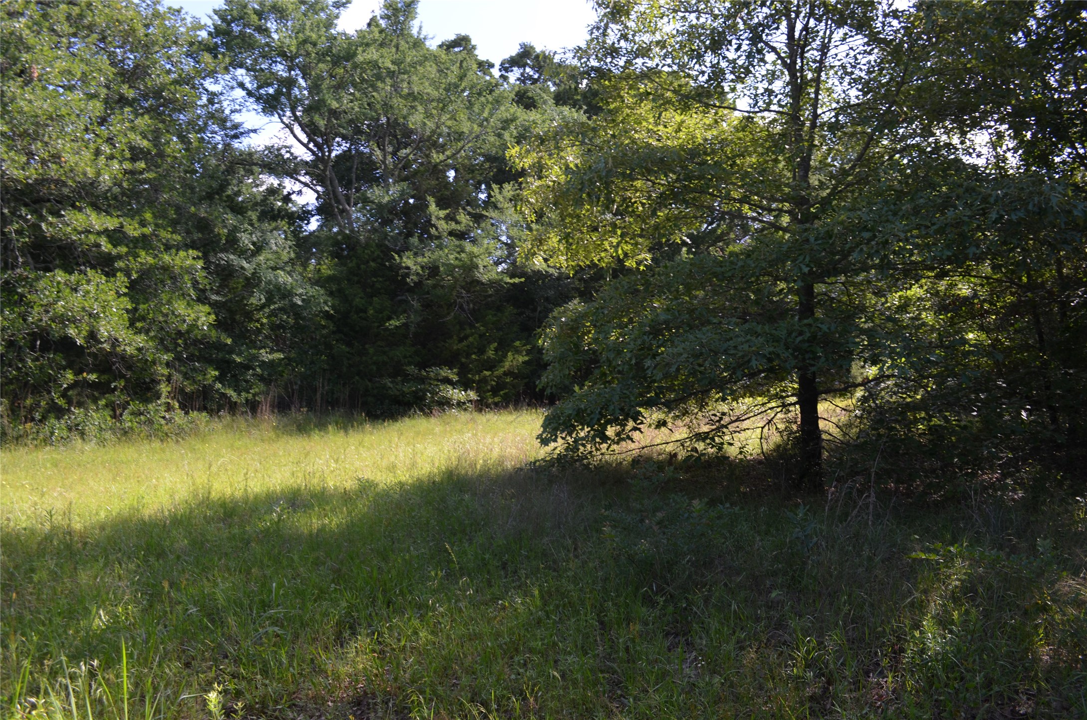 760 Vz County Road Eustace TX 75124