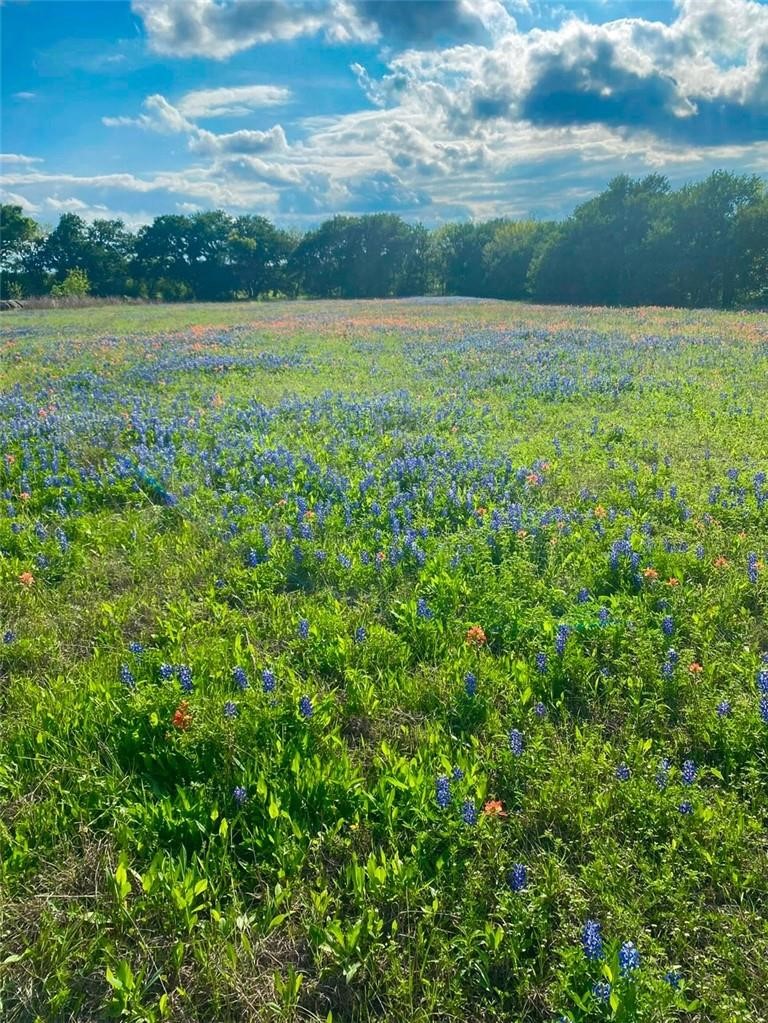 Tbd Kirkland Hill Road Axtell TX 76624
