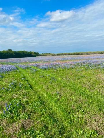 TBD Kirkland Hill Road Axtell TX 76624