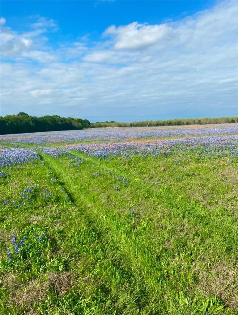 Tbd Kirkland Hill Road Axtell TX 76624